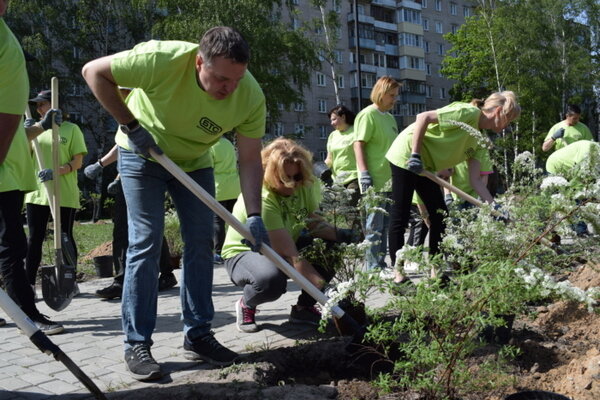     В Иванове в сквере на улице Парижской Коммуны высадили дубы и кустарники