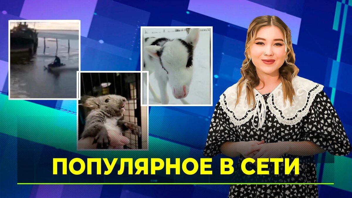 Составлен топ самых популярных видео у ямальцев в соцсетях | Время Новостей  | Дзен