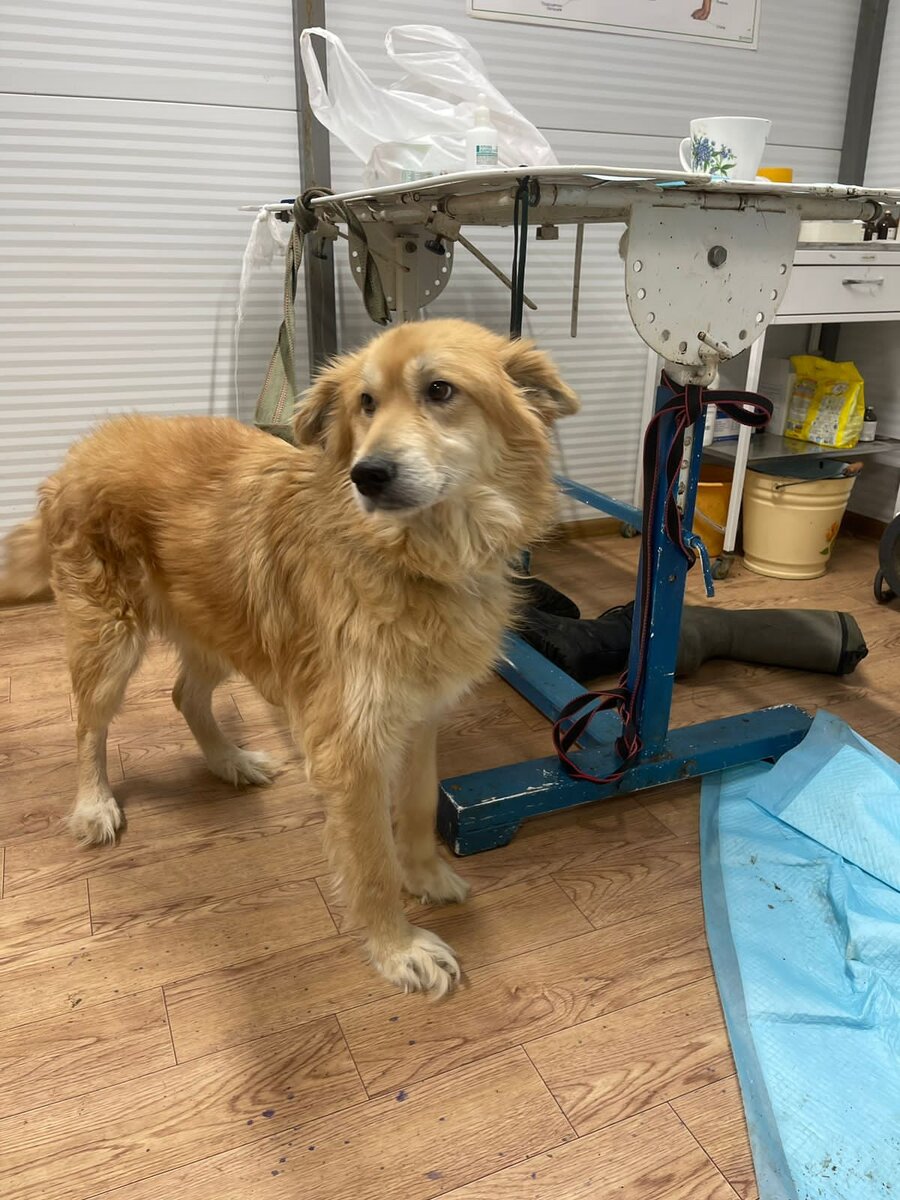 Таким он был тогда … В Якутске 