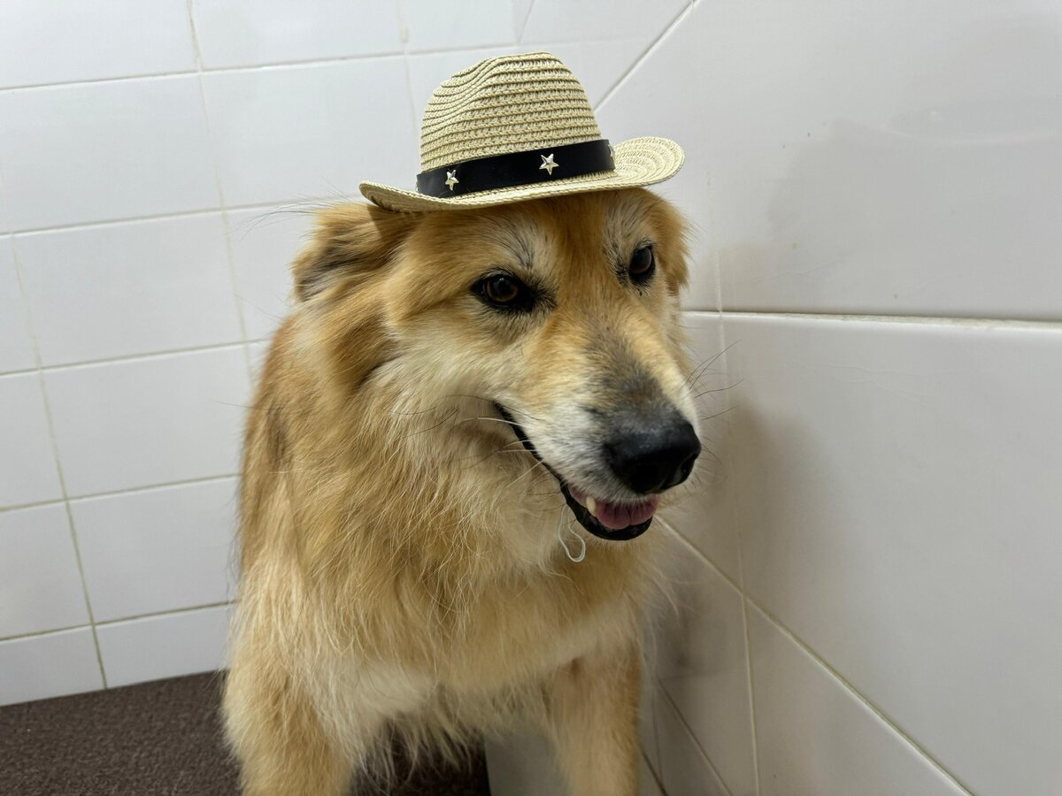 Счастливые моменты …❤️