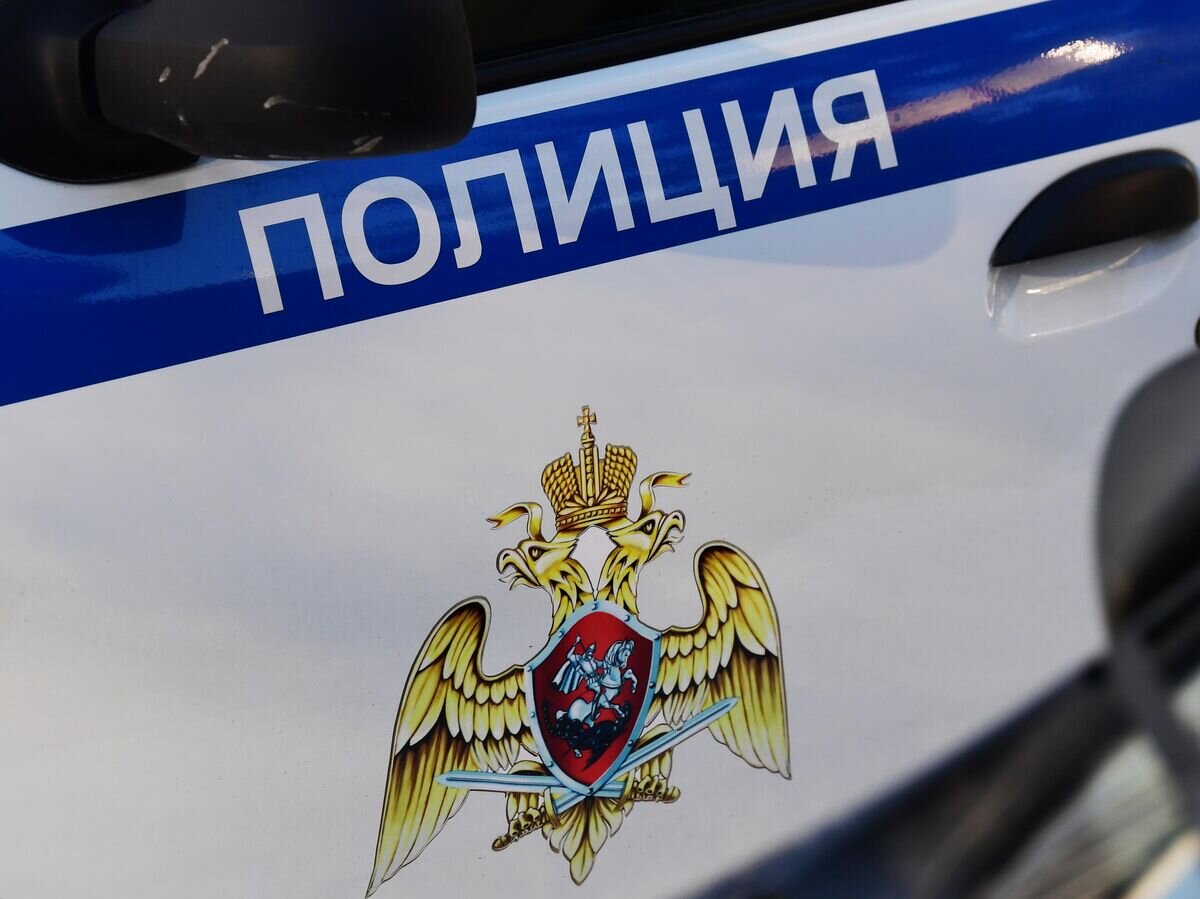    Полицейский автомобиль © РИА Новости / Алексей Майшев