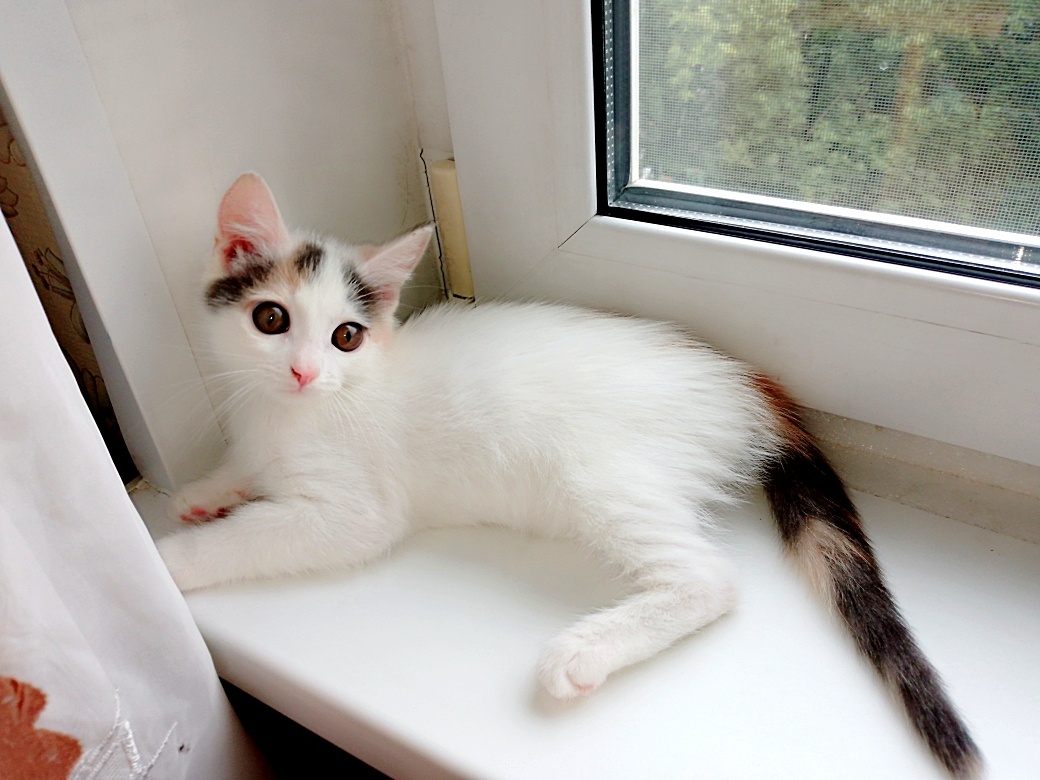 Соня сегодня. (Фото автора).