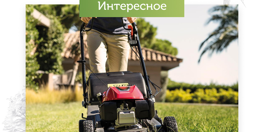 Какую газонокосилку выбрать
