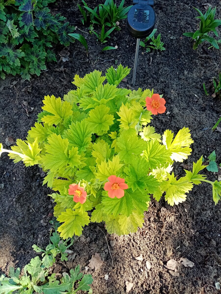 Фото из личного архива.