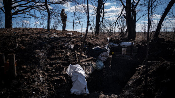    В Раде обвинили Залужного и Сырского в отсутствии укреплений в Харьковской области Андрей Бурков