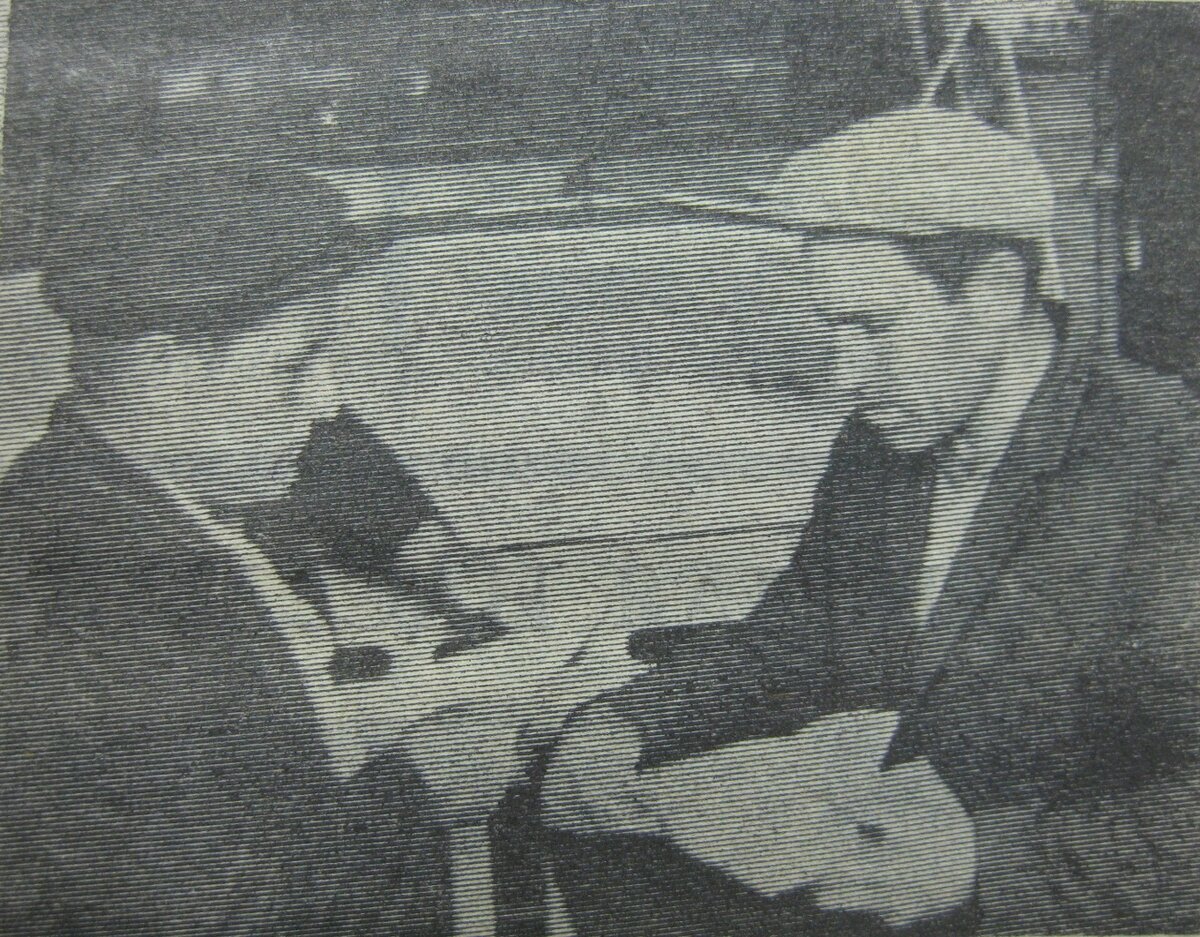 1971 год, Николай Даметович Медведев и Александр Петрович Носовец