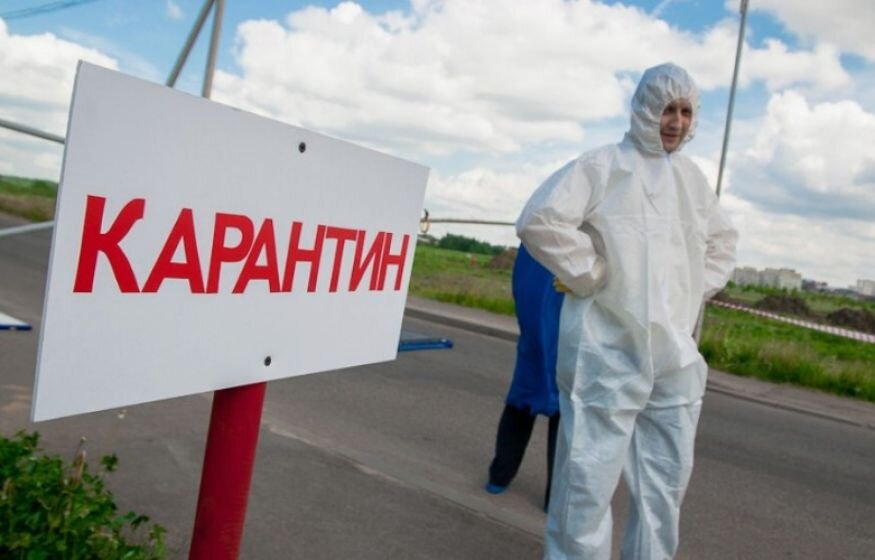    «Не прогибайтесь под Запад»: участники СВО потребовали не закрывать страну на карантин