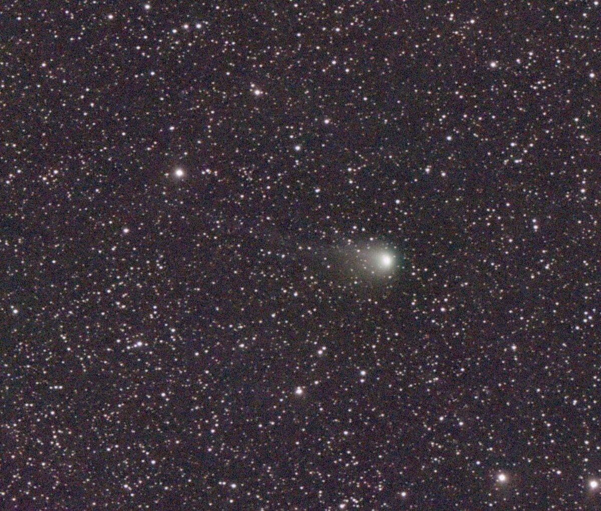  Комета 13P/Ольберса в середине мая 2024 года, изображение из открытых источников