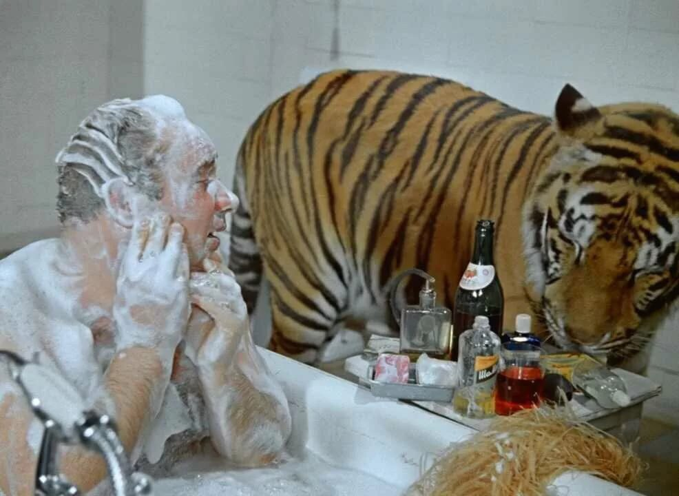 х/ф "Полосатый рейс"