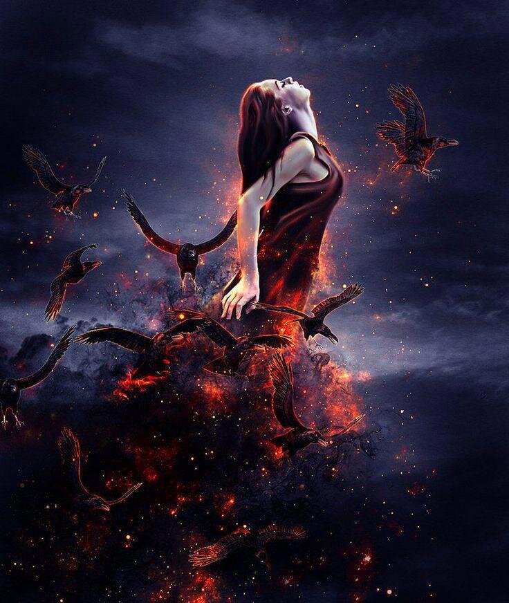 Яндекс картинки