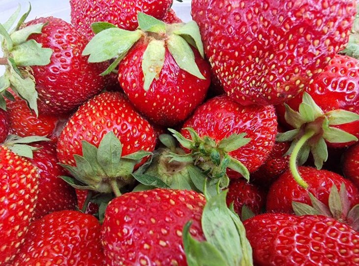 Что можно посадить рядом с клубникой: эти растения обеспечат запредельный урожай ягод