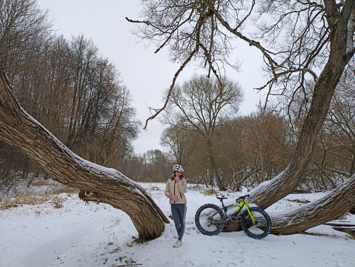 Тем самым днем