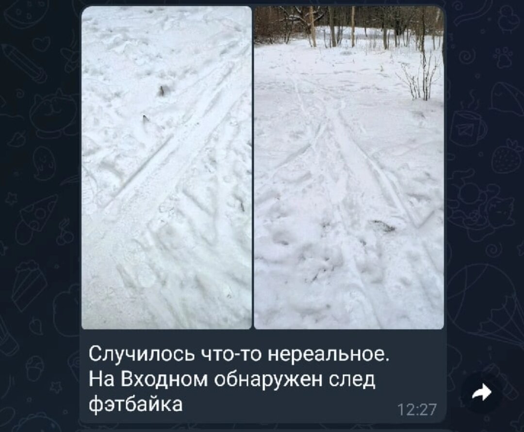 Скриншот из велочата