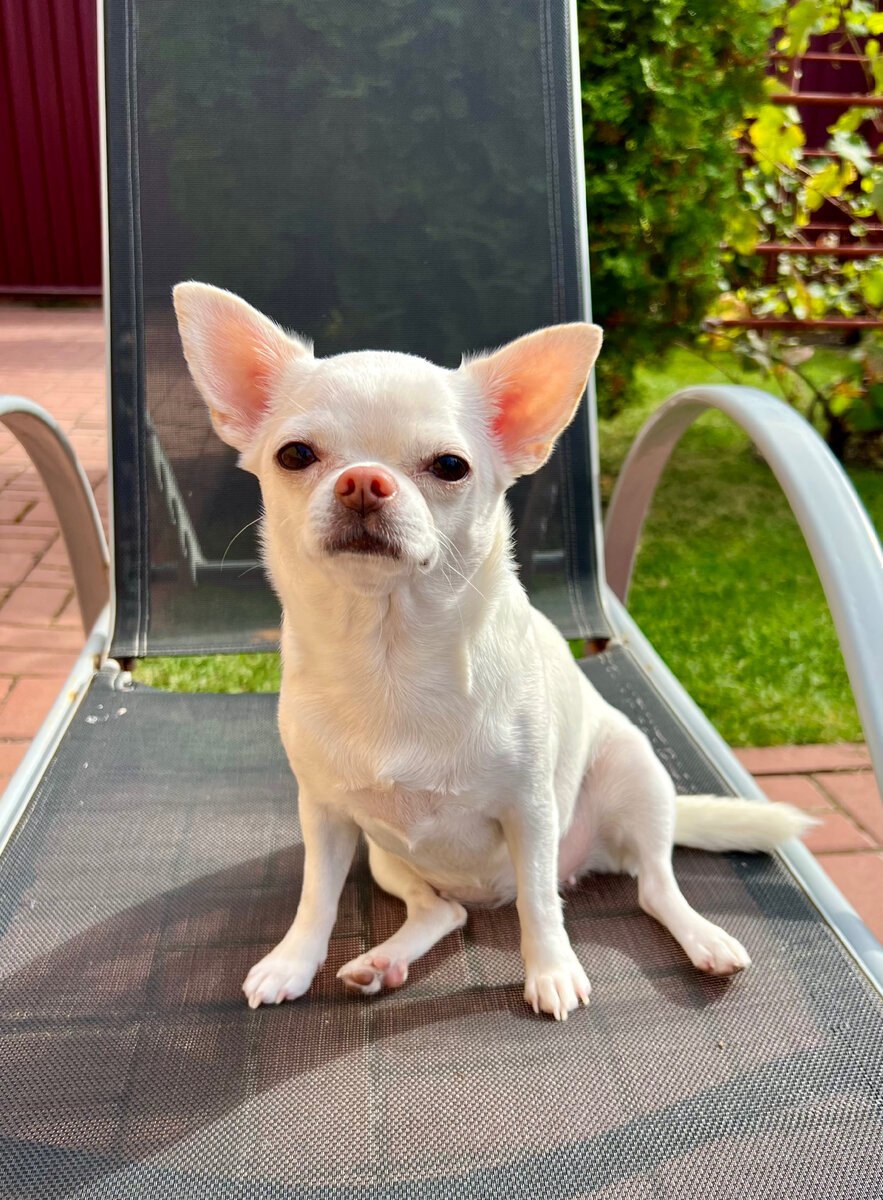 Бусинка . Фото автора. 