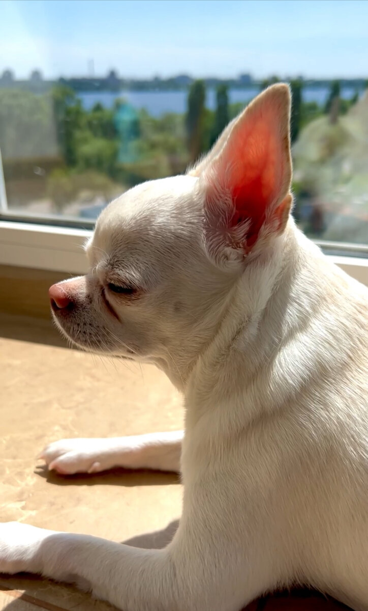 Бусинка . Фото автора. 