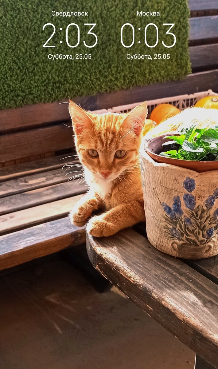 Время третий час ночи,а в четыре уже светло будет