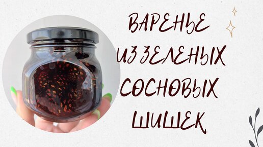 РЕЦЕПТ ВАРЕНЬЯ ИЗ ЗЕЛЕНЫХ СОСНОВЫХ ШИШЕК. ПОЛЬЗА В КАЖДОЙ ЛОЖКЕ.