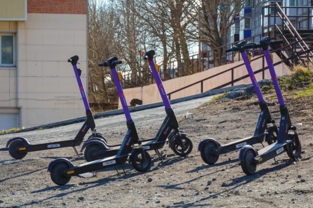    На Камчатке водителей электросамокатов проверят на трезвость