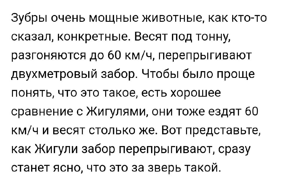 Кусочек скрина отзыва на экскурсию, который мне особенно понравился. 