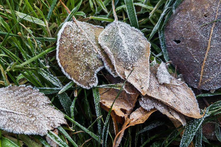    фото Андрея Заржецкого