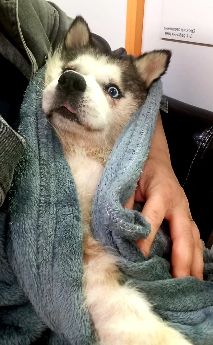 Мы очень надеемся, что врачи найдут правильное лечение и помогут нашей Джесси и она наконец-то встанет и будет снова ходить сама🙏