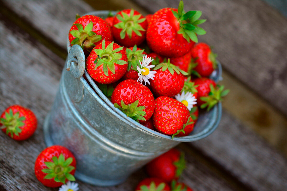    Фото: congerdesign / Pxabay.com