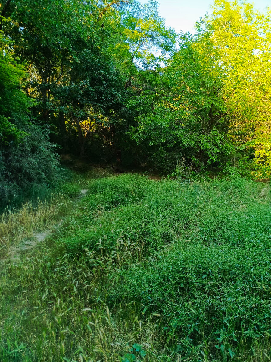 Где-то там кинотеатр