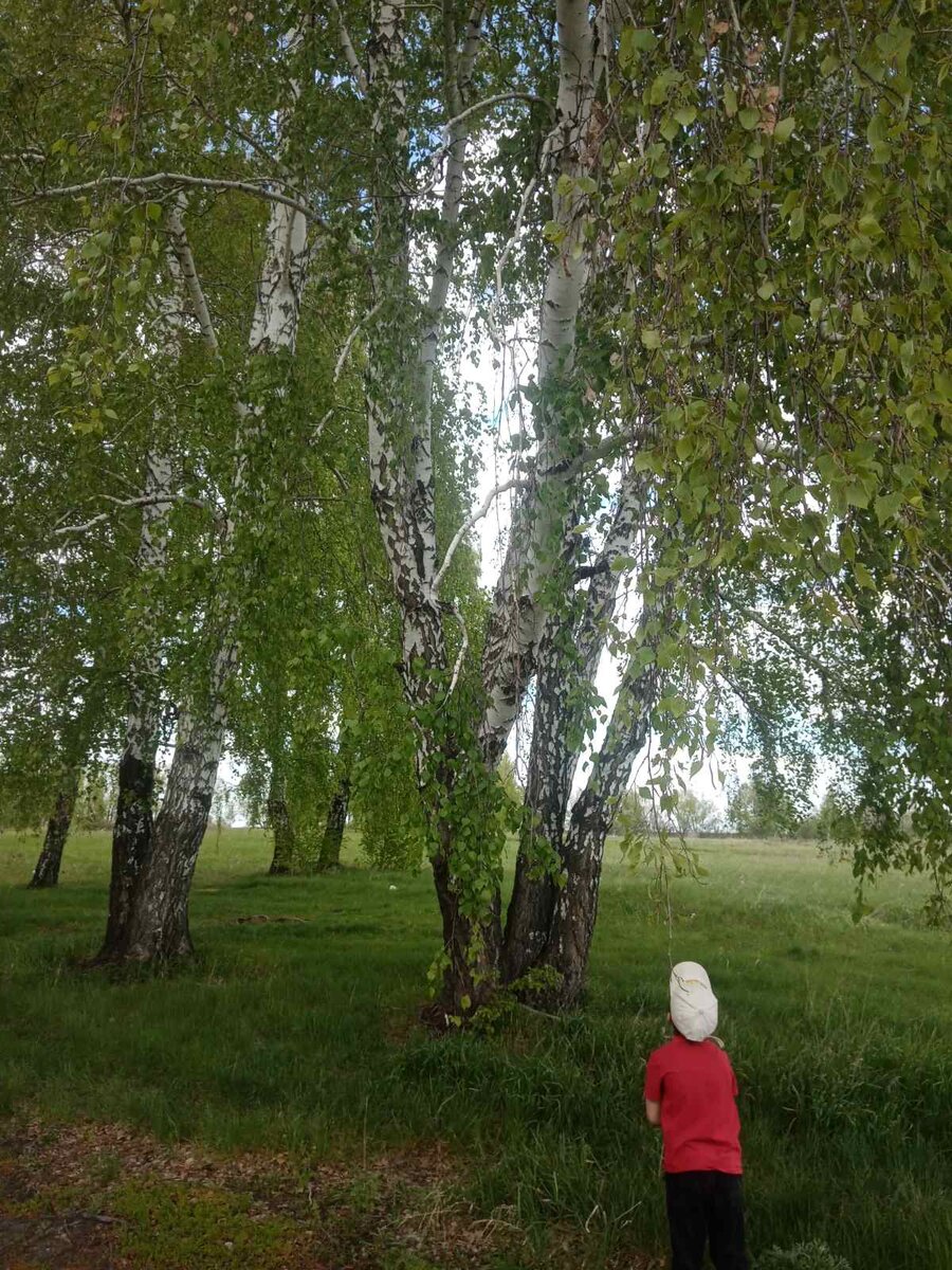 Как этот ребенок хочет познать окружающий мир и интересуется всем новым, так же и более взрослые люди могут изучать новые ниши в различных сферах.