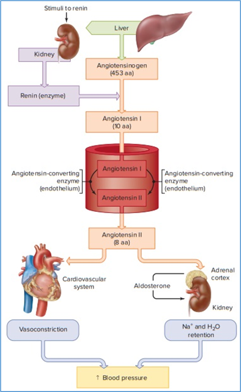 10. Case Problems With Pictures In Topic 