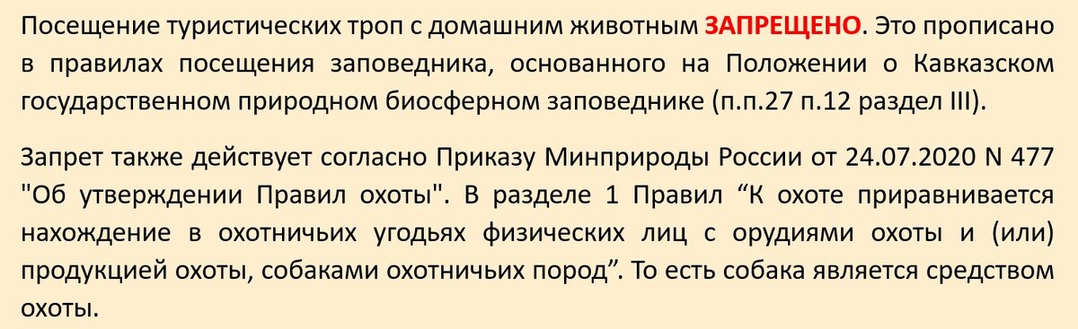 Категорический запрет на собак от Кавказского заповедника