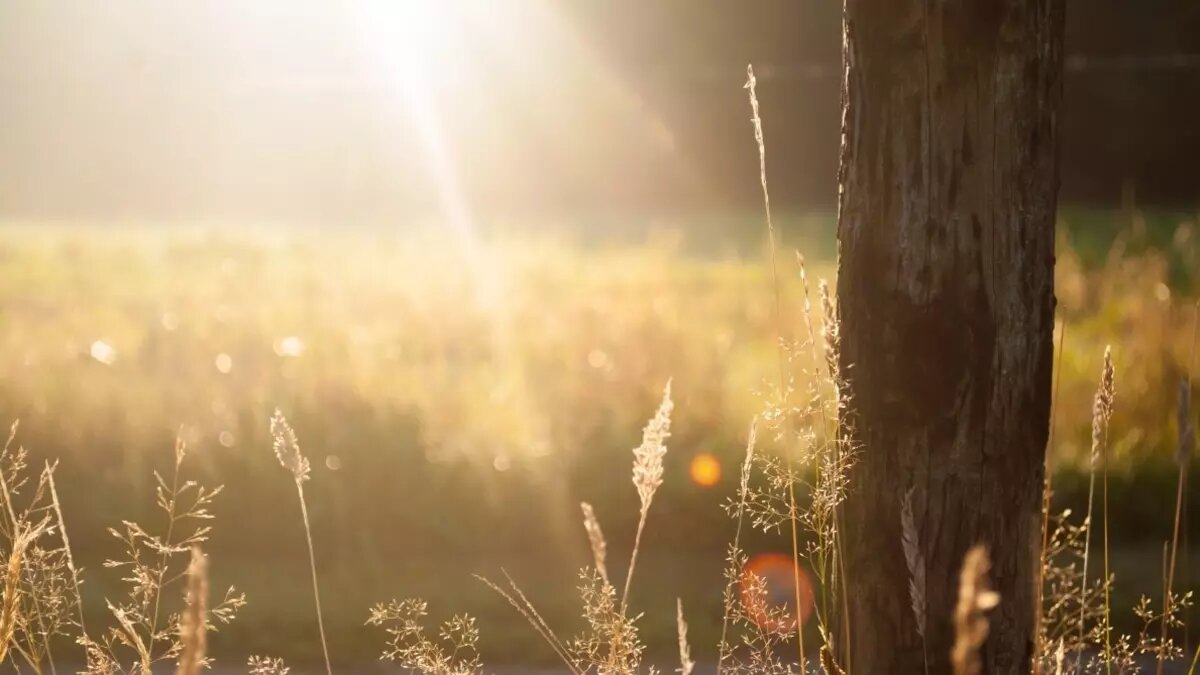     Источник: pxhere.com