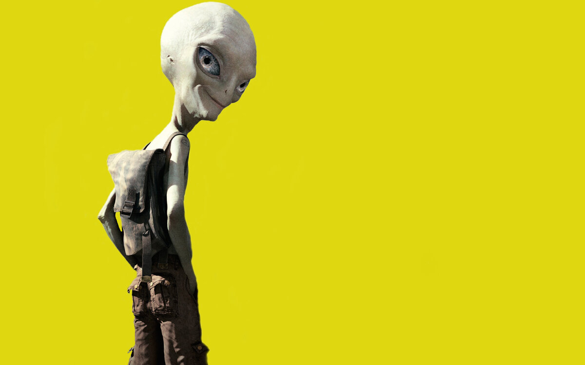 Два британских гика отправляются на одно из самых значимых фанатских событий в области фантастики — конвент ComicCon в Америке. По пути, неподалёку от известной Зоны 51, они встречают сбежавшего инопланетянина по имени Пол, который просит помочь ему добраться домой.