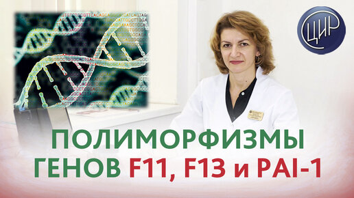 Полиморфизмы генов F11, F13 и РAI-1. Как избежать развития заболеваний?