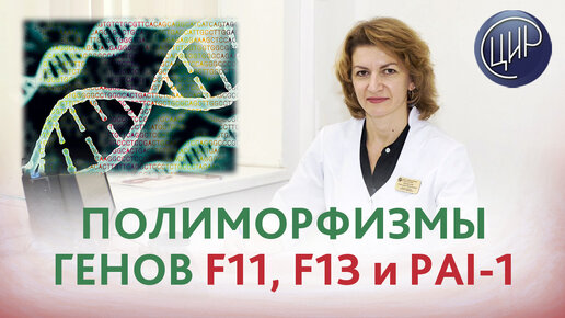 Download Video: Полиморфизмы генов F11, F13 и РAI-1. Как избежать развития заболеваний?