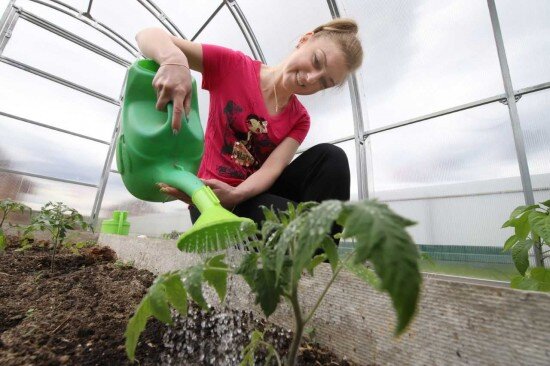    Фото: Кирилл Журавок