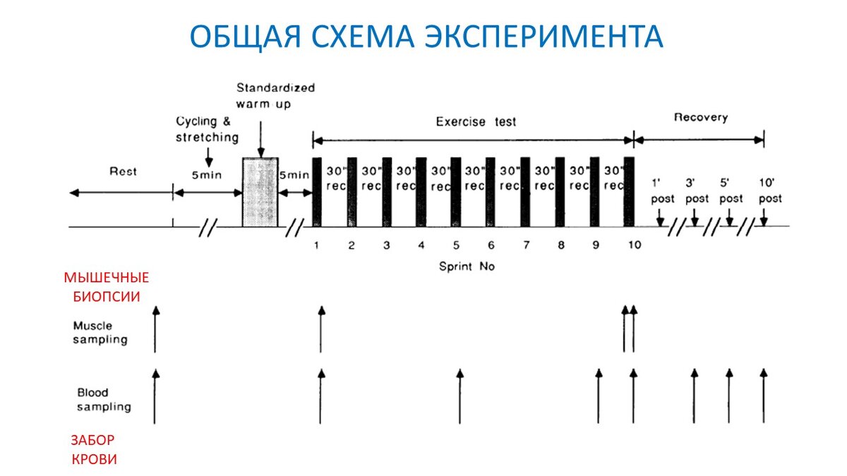 Рисунок 1. Общая схема эксперимента.