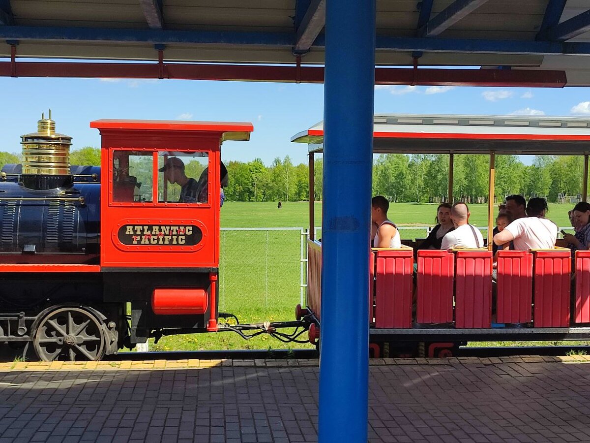 Зоосад в Могилеве. Сафари в д. Буйничи. Цены и часы работы зоопарка. Зубры  | Выйти из дома | Дзен