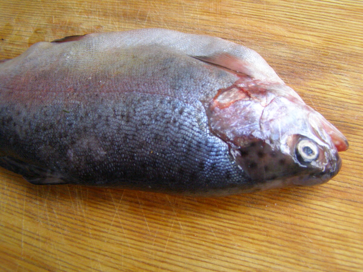 Тушка чистая и свежая, кстати.