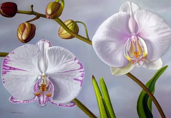 Источник изображения : kraskimira.mirtesen.ru›