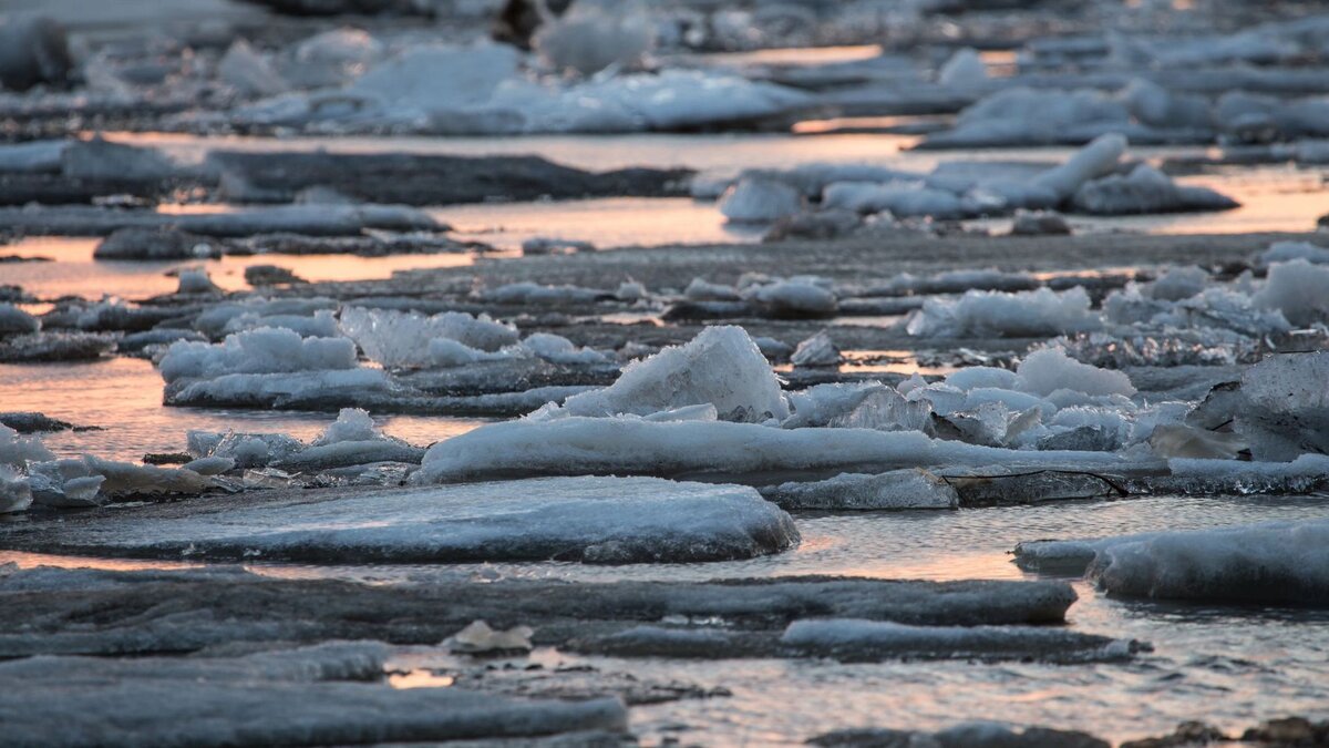 Ледоход в октябрьском районе хмао 2024. Водоналивные дамбы. Тронулся лёд на Волге. Водоналивные рукавные противопаводковые дамбы ВРД