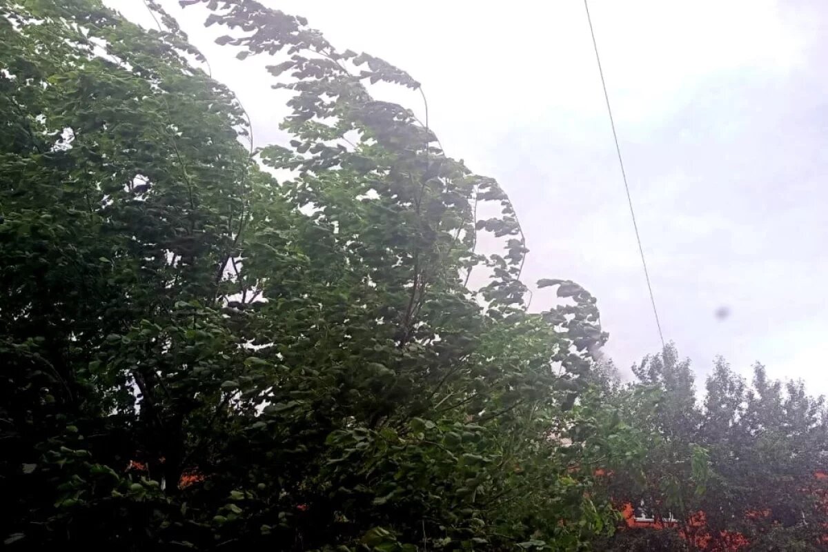    Ураганный ветер в Краснодаре продолжает сносить деревья и фасады зданий