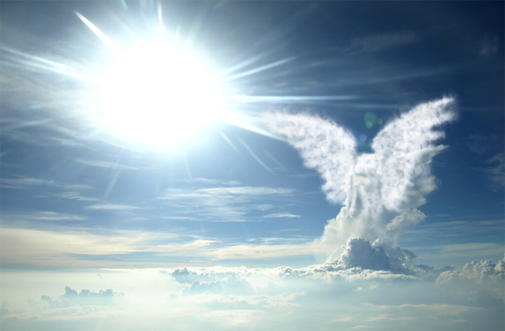 Картинка с интернета 