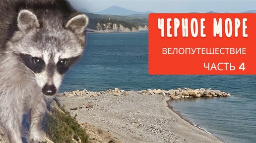 Одиночное велопутешествие на море | Вдоль Черного моря | Часть 4