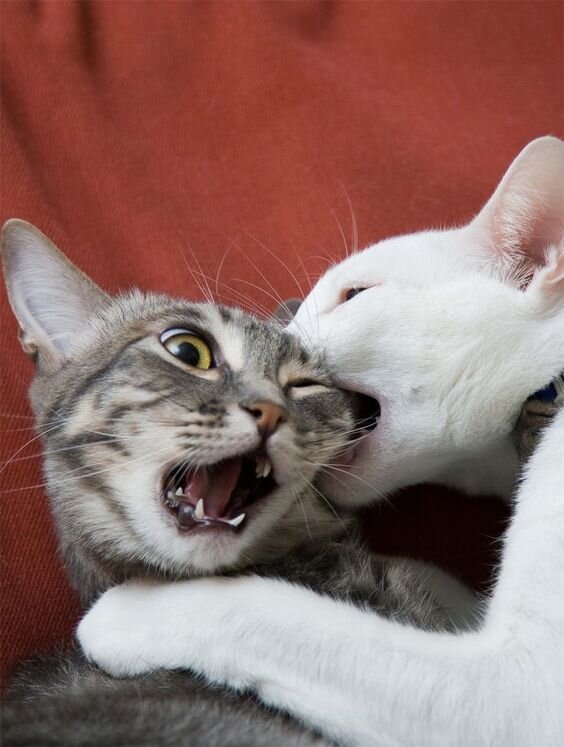 Первый раз в Бойцовском клубе