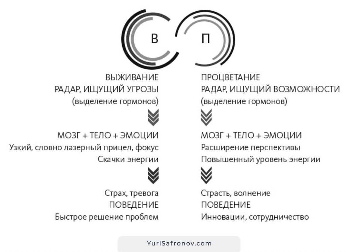 Книга «Стратегии перемен».