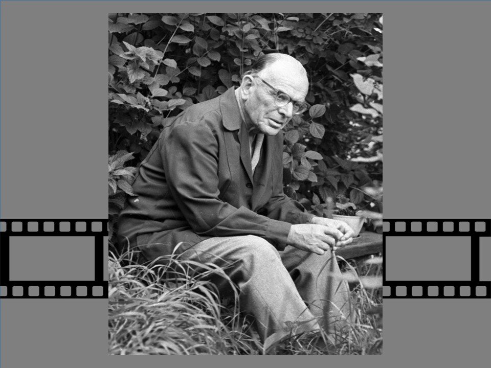 К. Г. Паустовский. Коллаж авторский