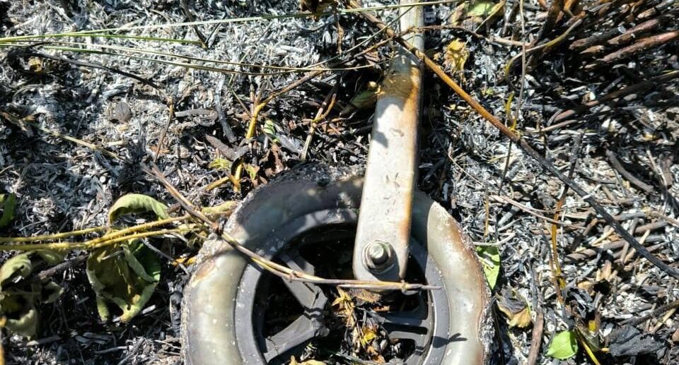     глава Адыгеи Мурат Кумпилов / Telegram