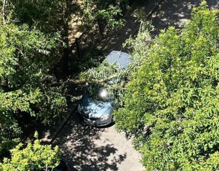 Источник фото: Telegram-канал «Западный Ростова»