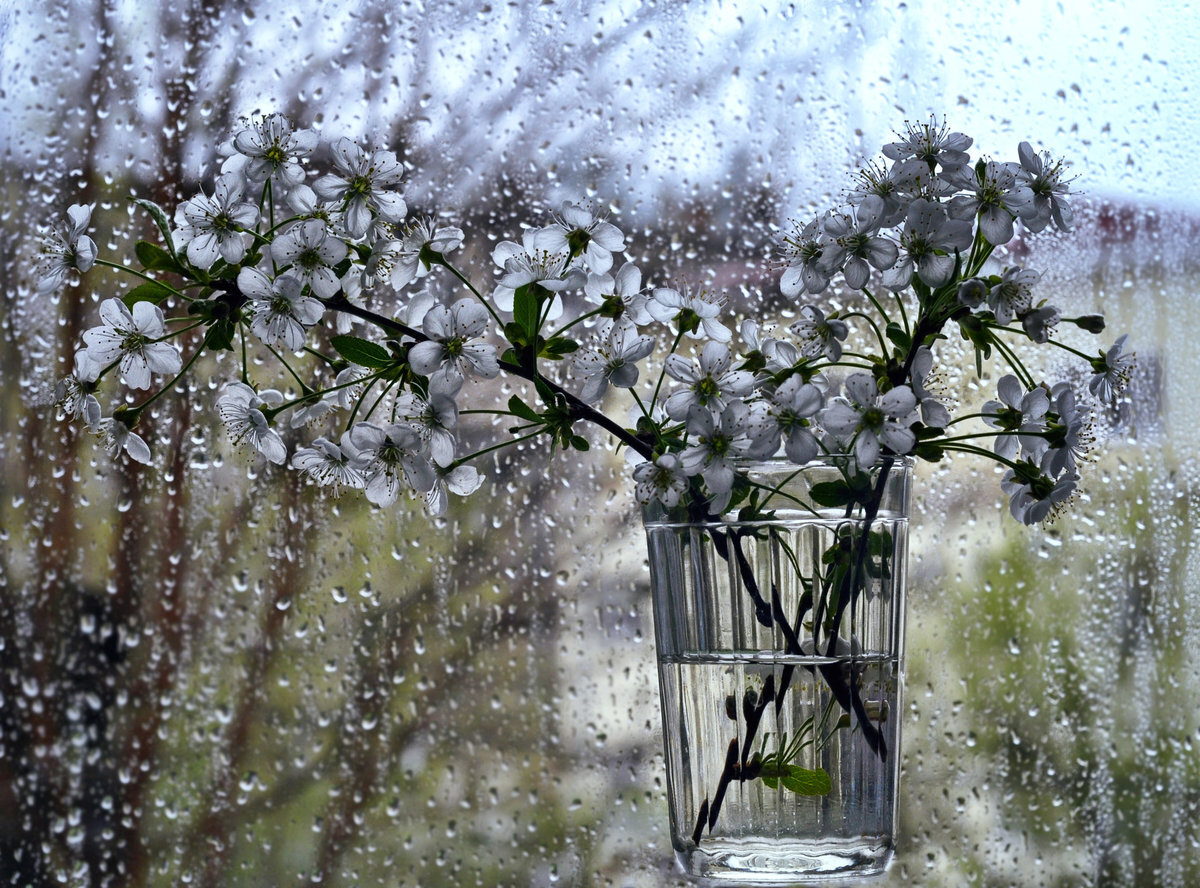 Изображение из открытых источников