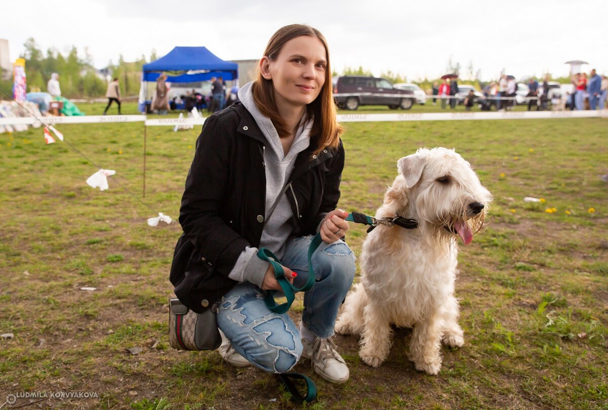    Выставка собак скрасила жителям Карелии дождливый день